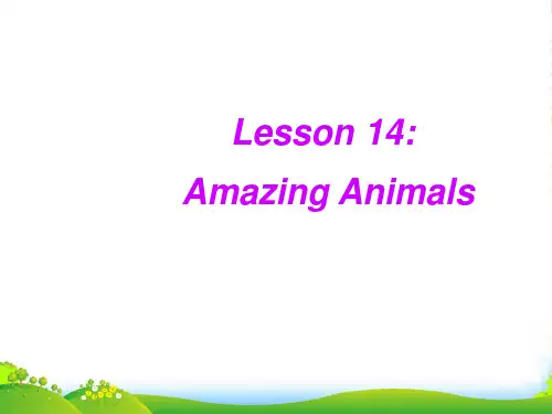 冀教版八年级英语下册Unit 3 lesson 14课件