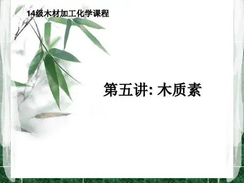 第五讲：木质素