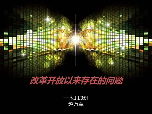 改革开放以来存在的问题