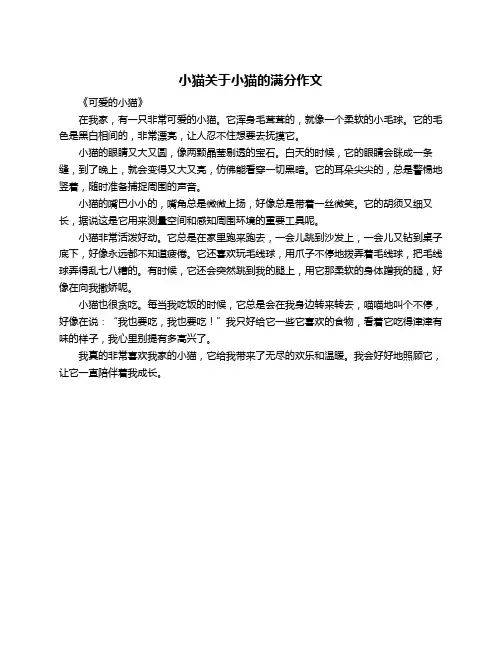 小猫关于小猫的满分作文
