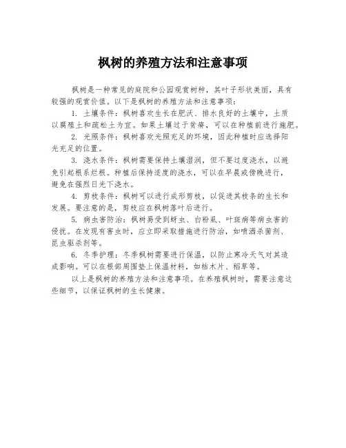 枫树的养殖方法和注意事项