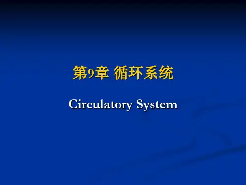 09-循环系统