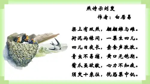 人教版生物八年级下册7.1.1植物的生殖课件(共51张PPT)