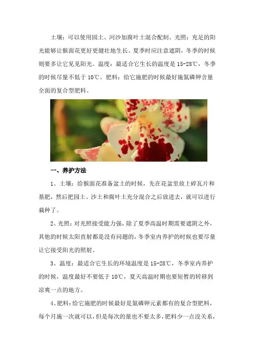 猴面花的养殖方法和注意事项