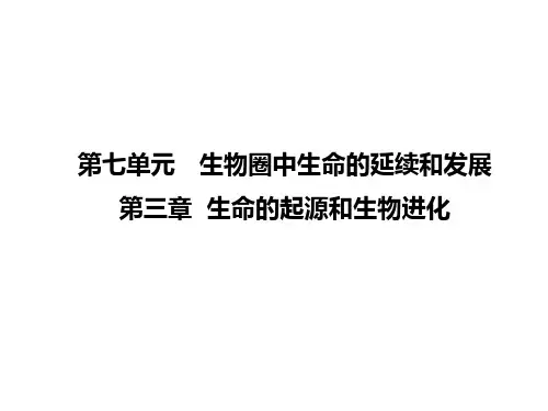 人教版生物八下第三章《生命的起源和生物进化》综合复习课件(共35张PPT)