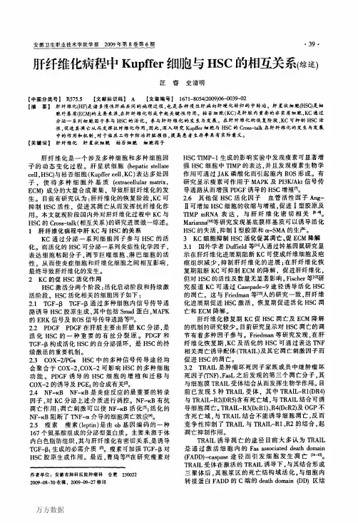 肝纤维化病程中Kupffer细胞与HSC的相互关系(综述)