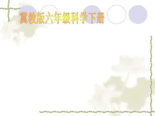 六年级下册科学课件4 人体的组合 冀教版 (共13页)PPT