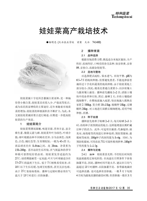 娃娃菜高产栽培技术