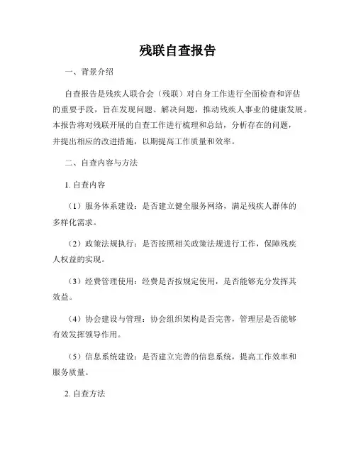 残联自查报告