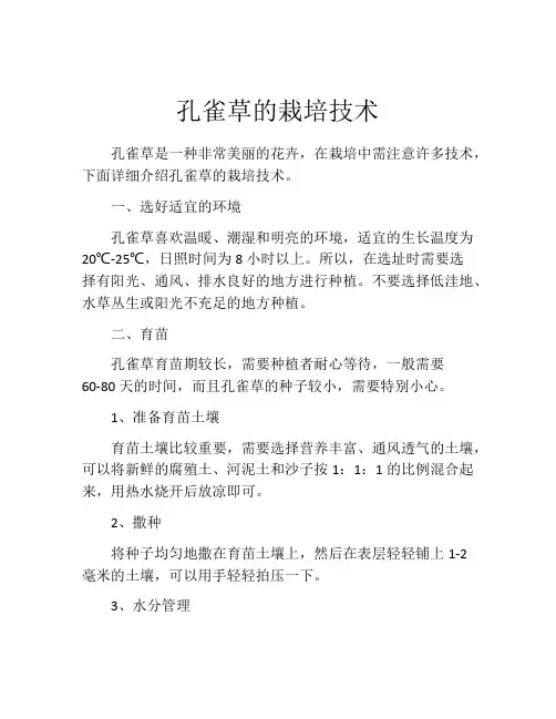 孔雀草的栽培技术