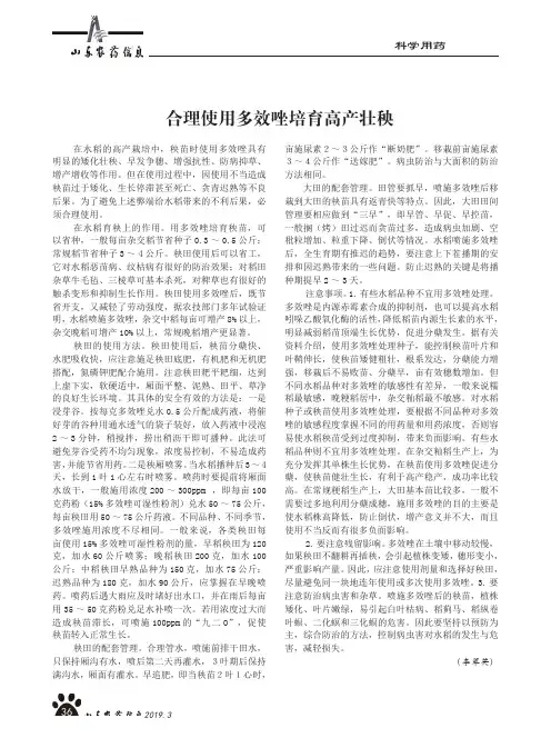 合理使用多效唑培育高产壮秧