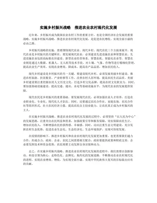 实施乡村振兴战略 推进农业农村现代化发展
