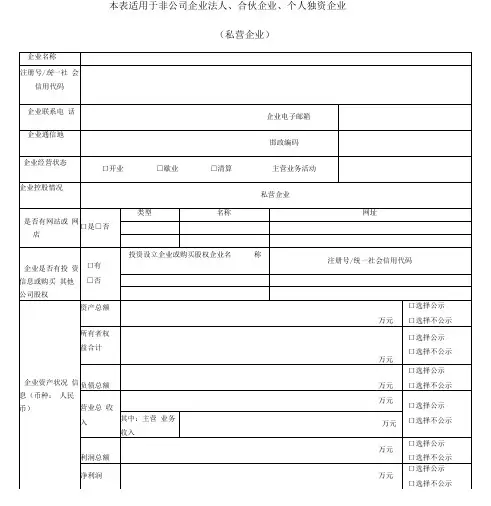 非公司私营企业年报文书