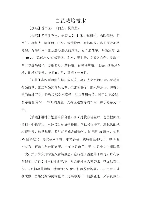 白芷栽培技术