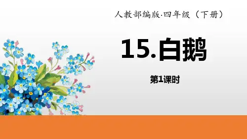 《白鹅》PPT(第1课时)