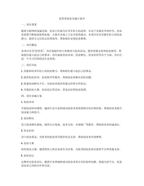 创青春创业实施计划书