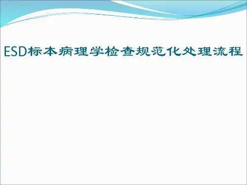 ESD标本病理检查规范处理流程