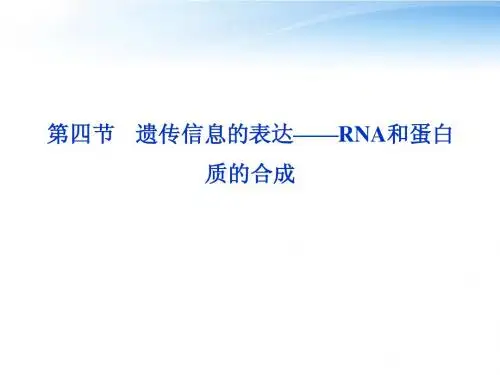 【优化方案】2012高考生物总复习 第三章第四节遗传信息的表达-RNA和蛋白质的合成课件 浙科版必修2