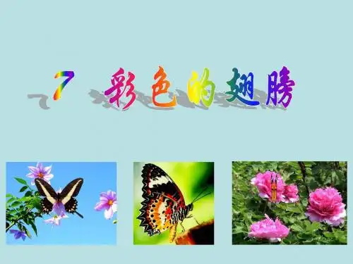 人教版六年级语文上册7《彩色的翅膀》PPT课件