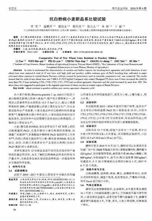抗白粉病小麦新品系比较试验