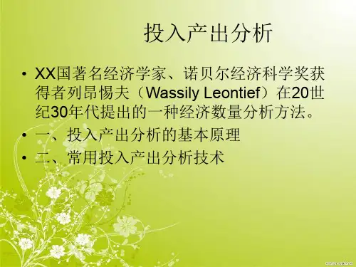投入产出分析