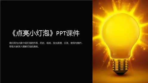 《点亮小灯泡》课件
