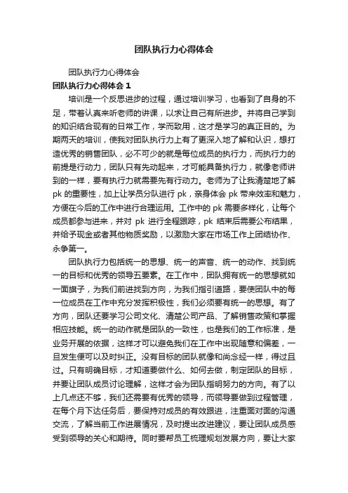 团队执行力心得体会