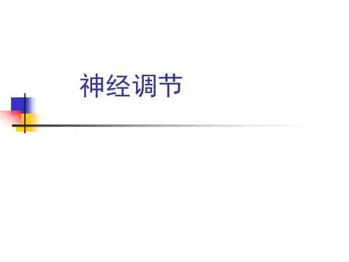 人教版高考生物专题复习神经调节课件