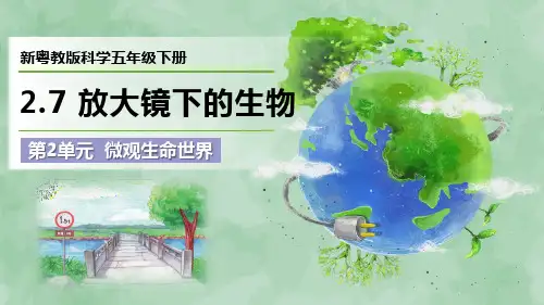 新粤教版科学五年级下册第2单元 微观生命世界《放大镜下的生物》优质课件