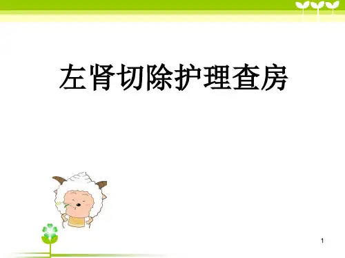 左肾切除护理查房ppt课件
