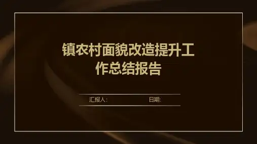 镇农村面貌改造提升工作总结报告