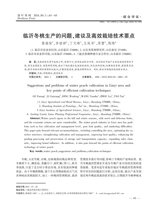 临沂冬桃生产的问题、建议及高效栽培技术要点