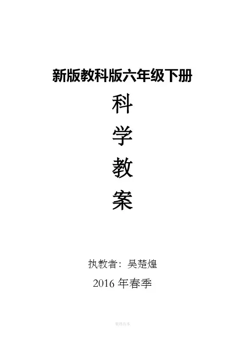 新版教科版六年级下册科学教案 2