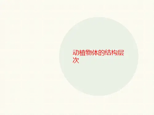 动植物体的结构层次-文档资料