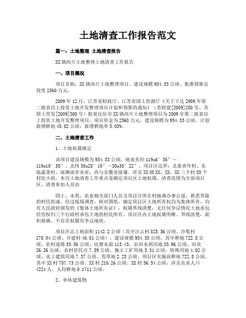土地清查工作报告范文