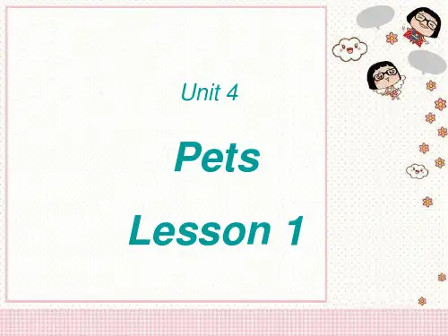 人教起点三年级英语上册Unit4PetsLesson1课件