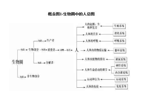 人教版初中生物七年级下册-概念图知识点-全套