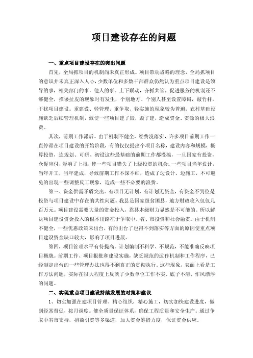 项目建设存在的问题