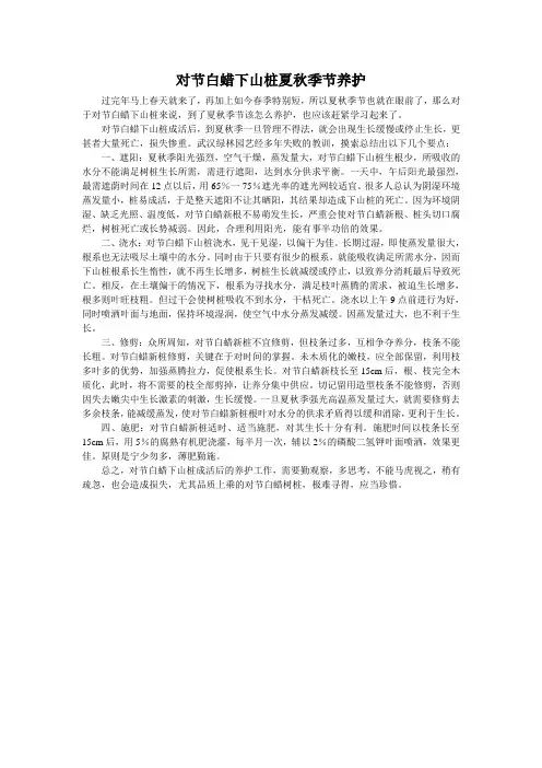对节白蜡下山桩夏秋季节养护