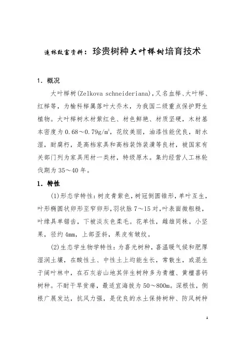 造林致富资料：珍贵树种大叶榉树培育技术