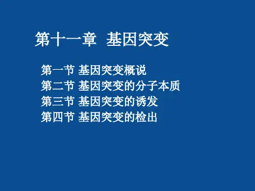 遗传学第十二章基因突变
