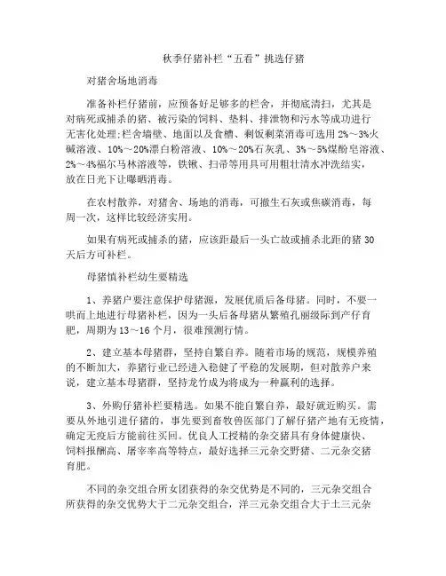 秋季仔猪补栏“五看”挑选仔猪