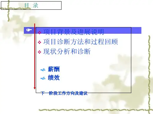 人力资源管理咨询项目诊断报告
