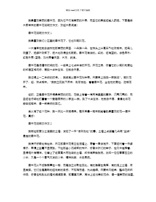 2021年牵牛花写作文六百字
