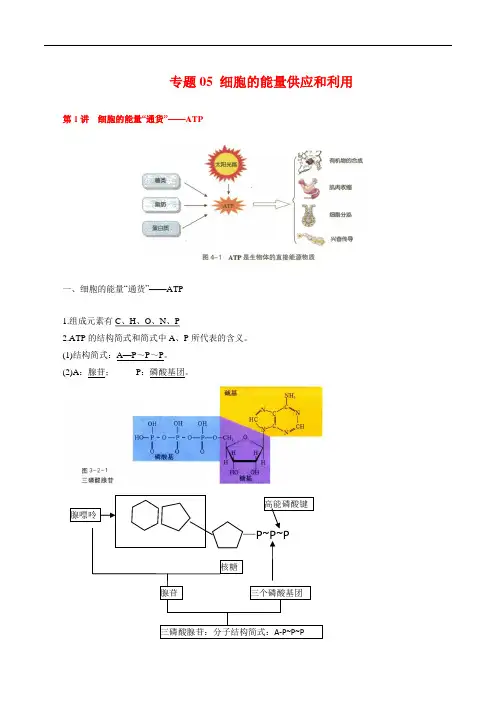 专题05 细胞的能量供应和利用-2021年高考生物一轮复习知识点梳理与归纳