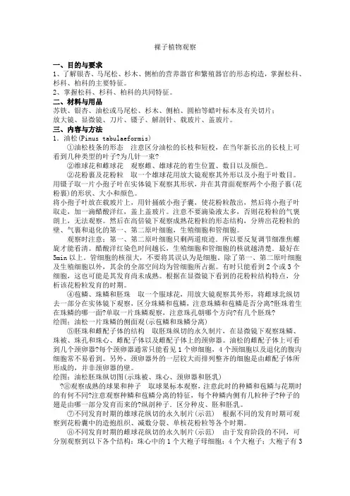 裸子植物观察