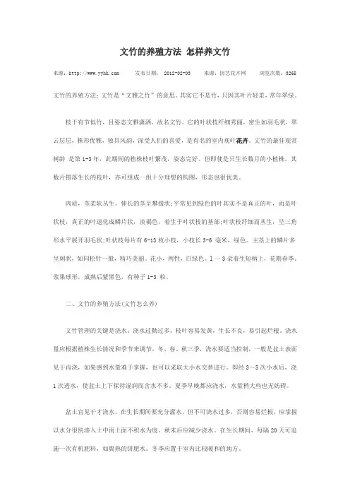 文竹的养殖方法