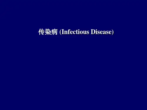 传染病病理学—伤寒
