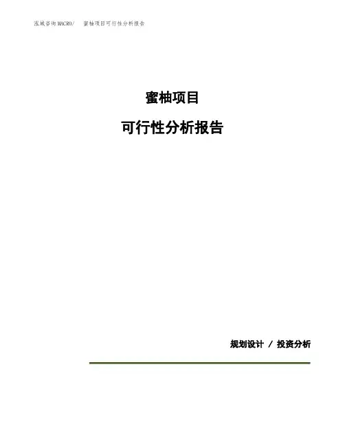蜜柚项目可行性分析报告(模板参考范文)