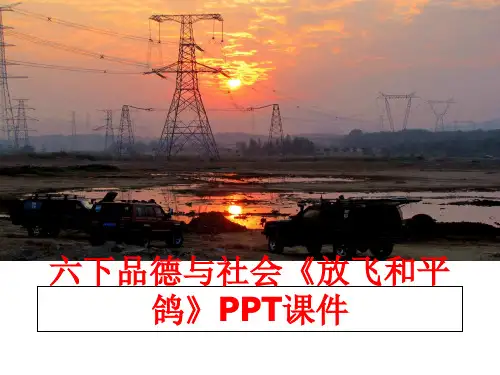 最新六下品德与社会《放飞和平鸽》PPT课件